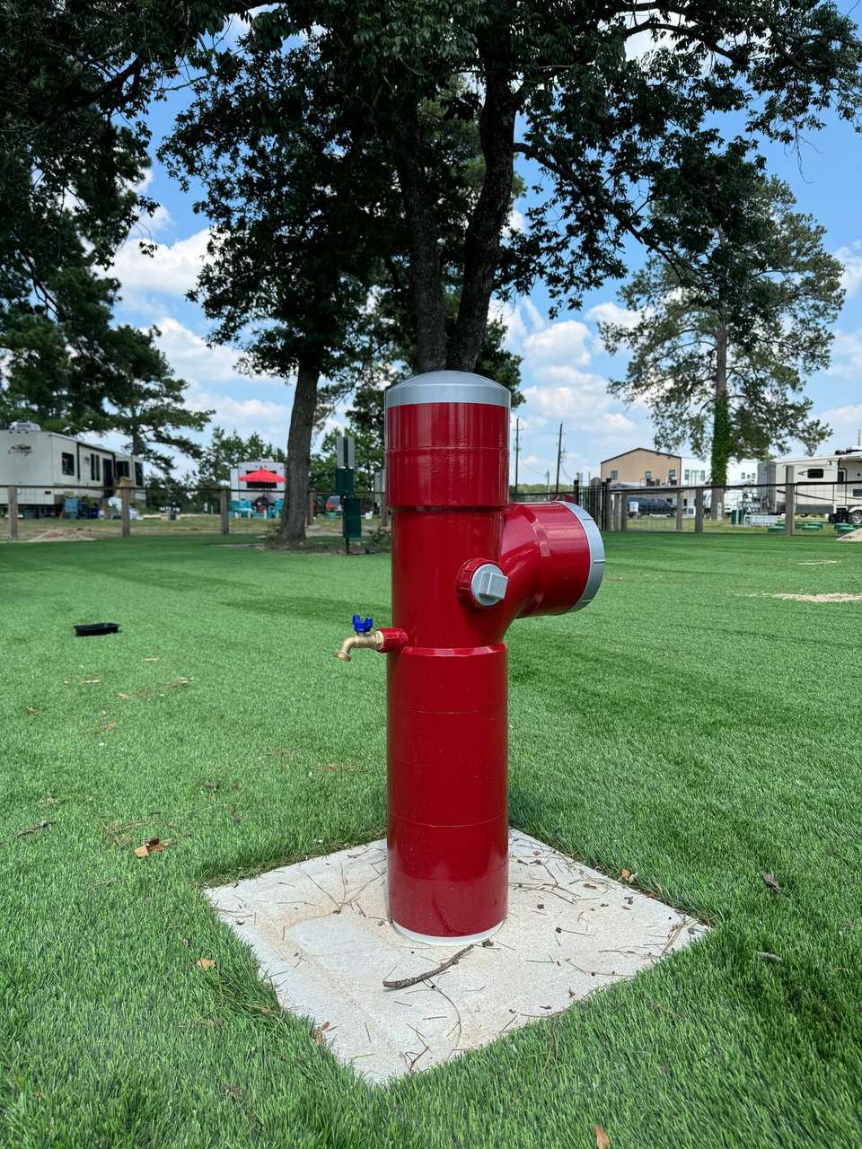 The functional red fire hydrant with hose spigot in the dog park